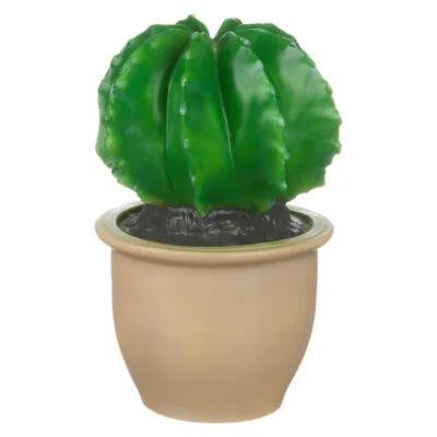 Heico Cactus bol