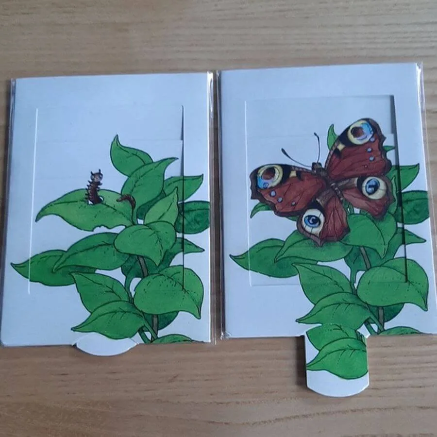rups tot vlinder