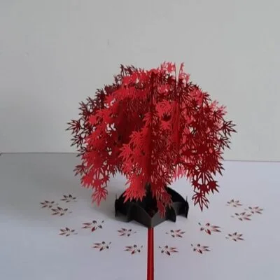 pop-up sakura