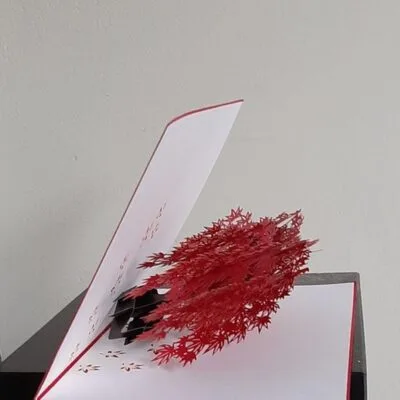 pop-up sakura