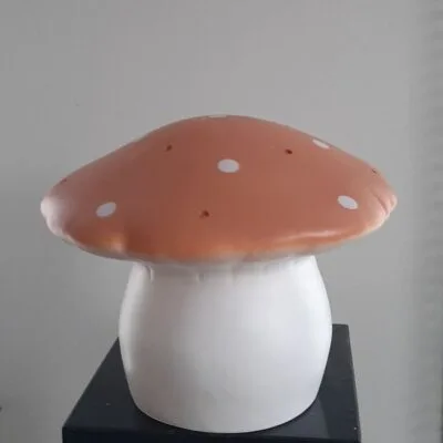 Heico vliegenzwam klein terra