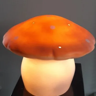 Heico vliegenzwam klein terra