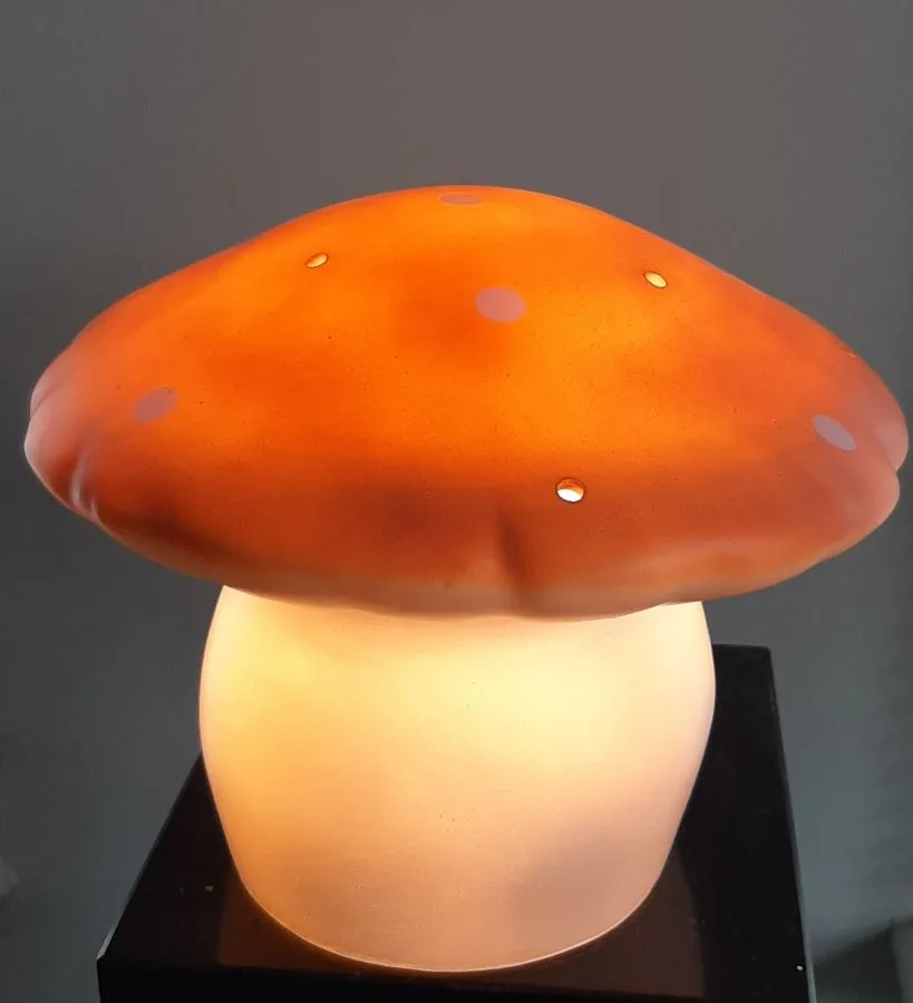 Heico vliegenzwam klein terra