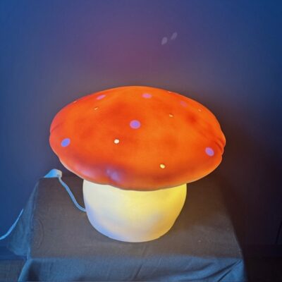 Heico Vliegenzwam klein baksteenrood