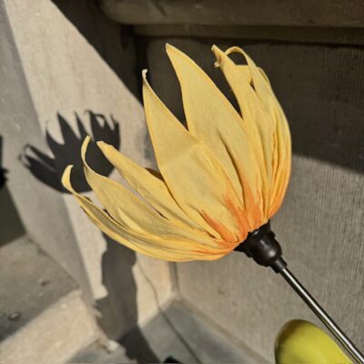 Skitso Little Flower Bakira