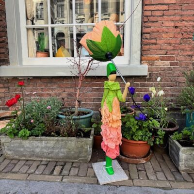 Alternative view of Skitso 'Little Flower" Taraxo