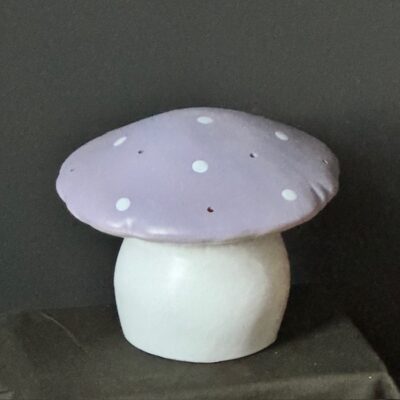 Heico Vliegenzwam klein lavendel