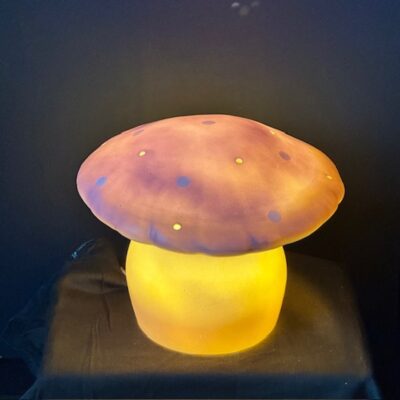 Heico Vliegenzwam klein lavendel